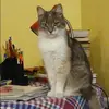 Отзыв от Татьяна Чижова